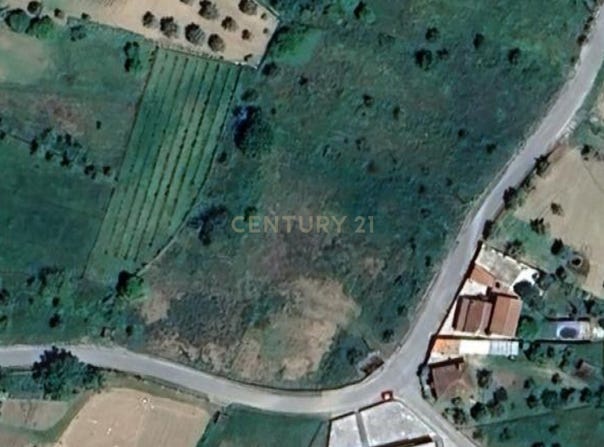 Arega, Coimbra District