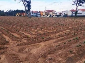 Vila do Conde, Porto 4485-020