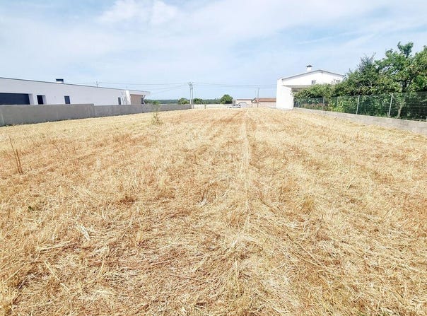 Leiria, Leiria District