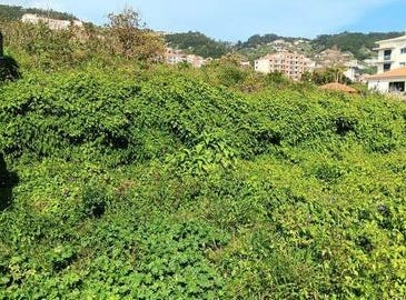 Santa Cruz, Ilha da Madeira 9125-065