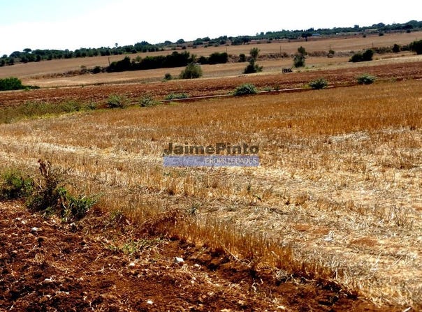Figueira De Castelo Rodrigo, Guarda 6440