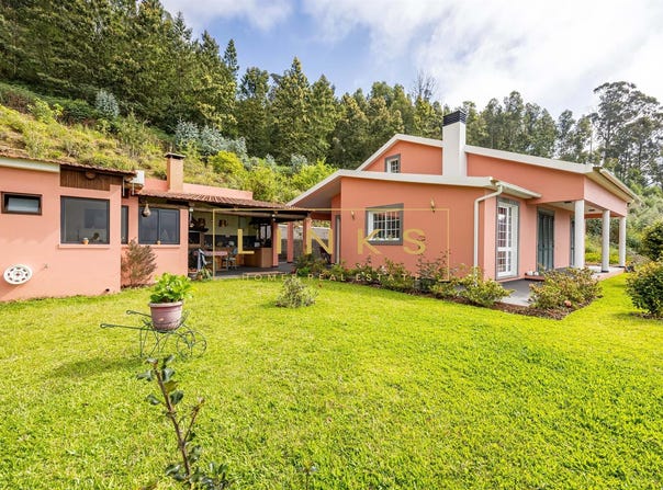 Canhas, Madeira 9360