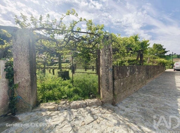 Lanhelas, Viana Do Castelo 4910