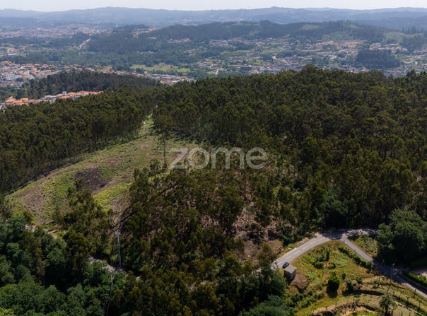 Fafe, Braga