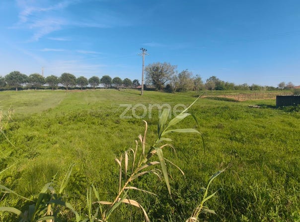 Leiria, Leiria District