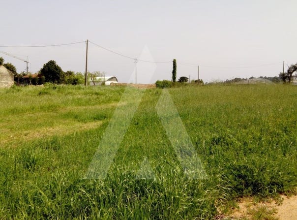 Palhaça, Aveiro District