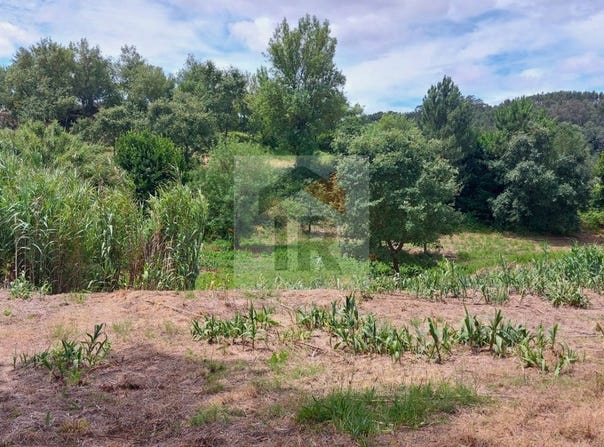 Caldas da Rainha, Leiria District