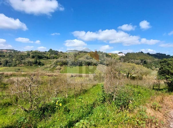 Caldas da Rainha, Leiria District