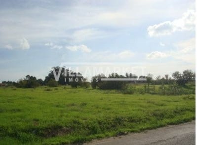 Montijo e Afonsoeiro, Setubal