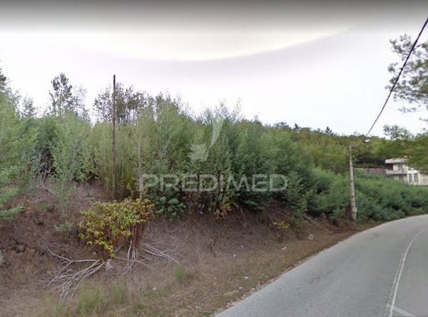 Canas de Senhorim, Nelas, Viseu District