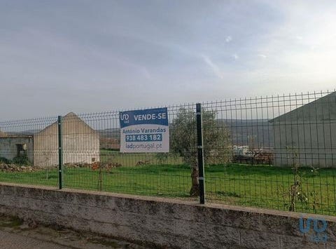 Mogadouro, Bragança 5200-242