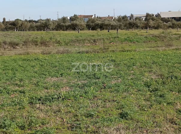 Campo Maior, Portalegre District