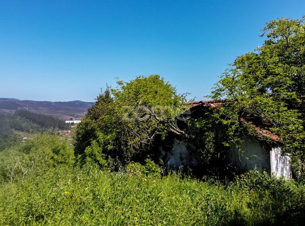 Amarante, Porto District