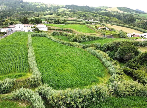 Ilha de São Miguel, Azores