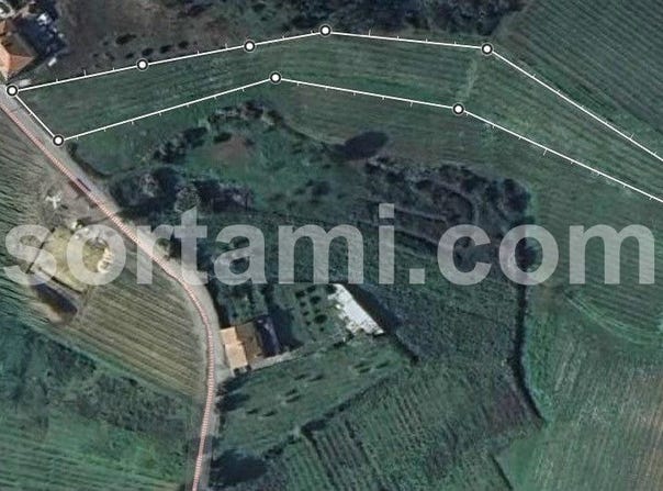 Anadia, Aveiro District
