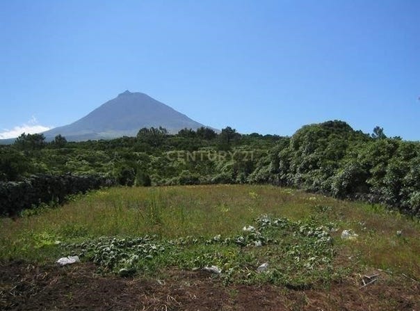 Ilha do Pico, Azores