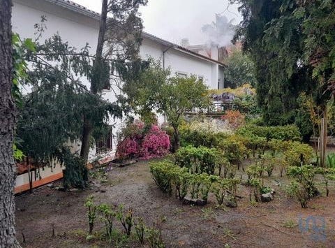 Fundão, Castelo Branco 6230-045