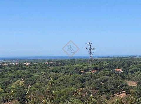 Grândola, Setúbal