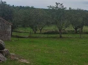 Moimenta da Beira, Viseu 3620-441