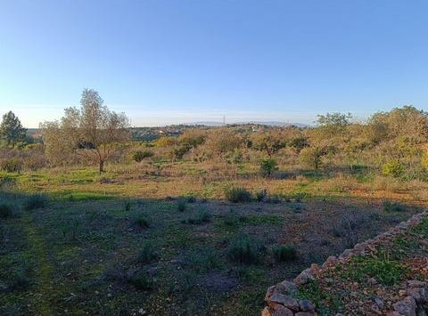 Silves, Faro