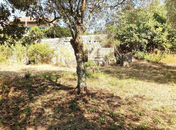 Antuzede e Vil de Matos, Coimbra District