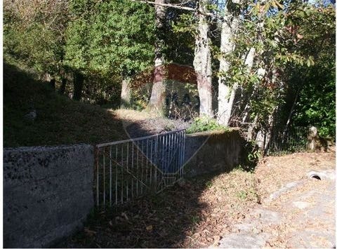 Fafe, Braga