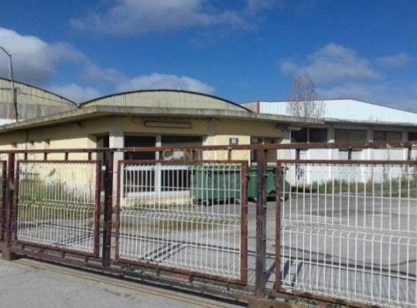 Palmela, Setubal