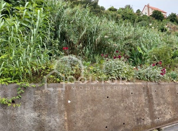 São Roque, Madeira