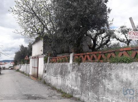 Mação, Santarém 6120-214