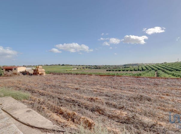 Quelfes, Algarve 8700