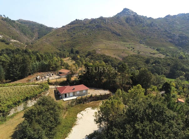 Covide, Braga