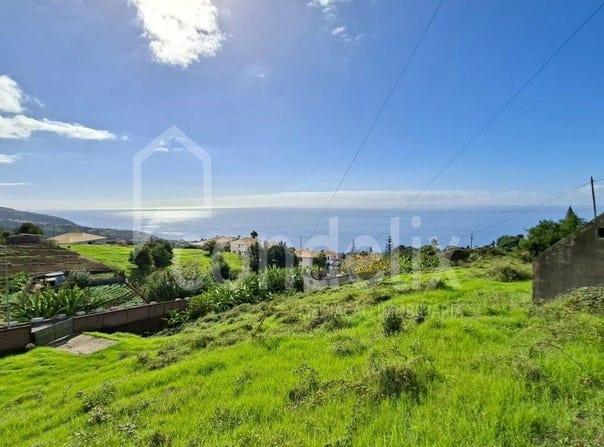 Estreito Da Calheta, Madeira 9370