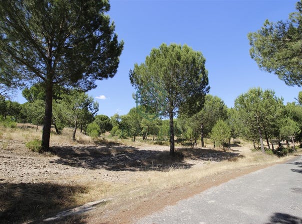 Mora, Évora 7490