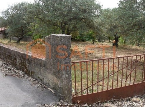 Aranhas, Castelo Branco District