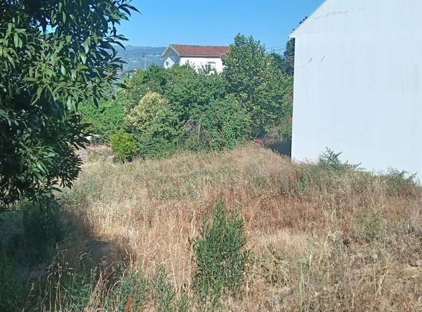 Mondim de Basto, Vila Real District