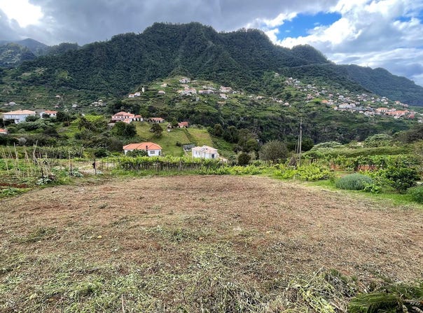 Ilha da Madeira, Madeira