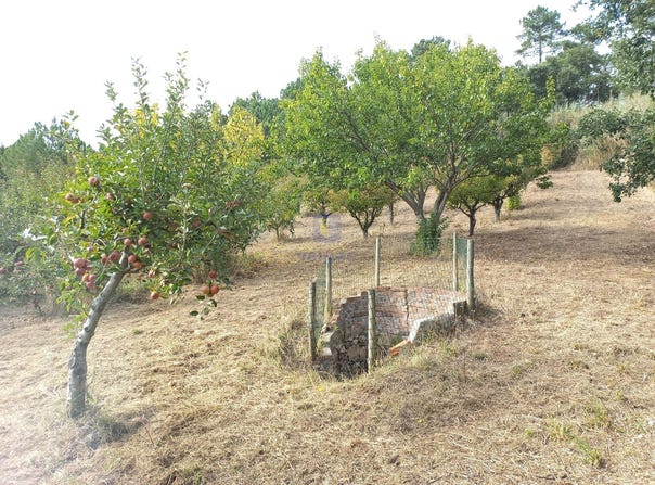 Salir de Matos, Leiria District