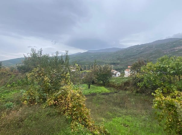 Cortes do Meio, Castelo Branco District