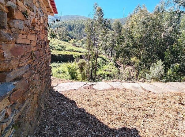 Castelo Branco, Castelo Branco District