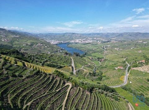 Lamego, Viseu 5100-758