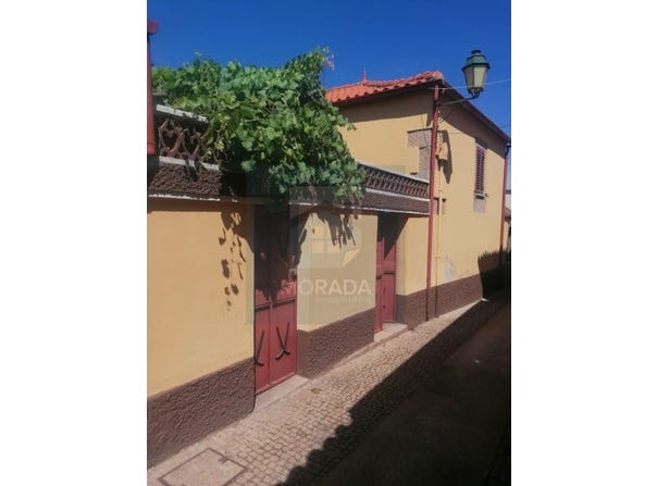 Vila Flor e Nabo, Bragança District