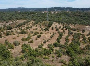Ferreira do Zêzere, Santarém 2240-102