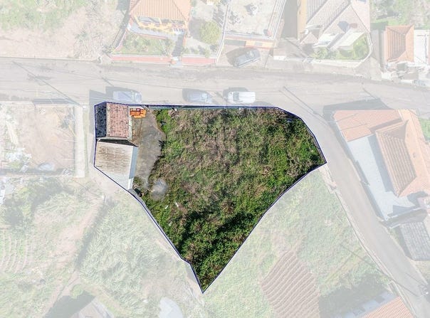 Canhas, Madeira 9360