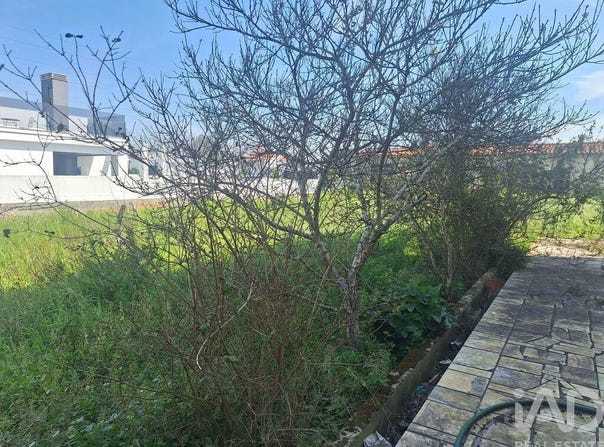 Setúbal, Setubal