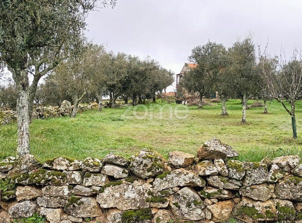 Celorico da Beira, Guarda District