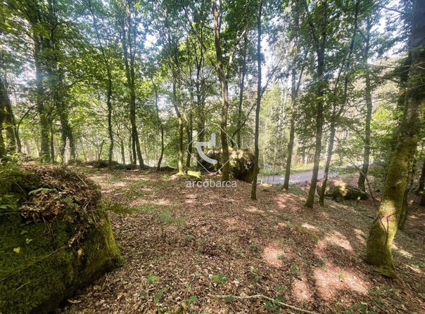 Formariz, Viana do Castelo District