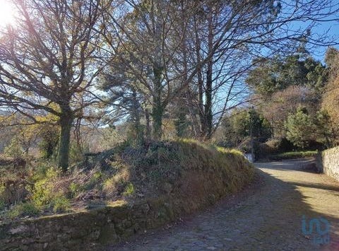 Vila Nova de Cerveira, Viana do Castelo 4920-020