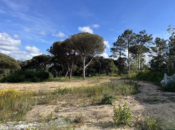 Vau, Leiria 2510