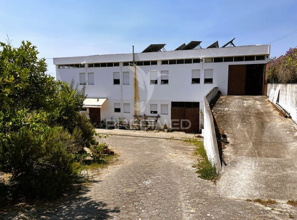 Riachos, Torres Novas, Santarém District 2350