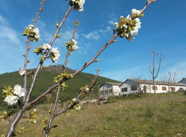 Bragança, Bragança District